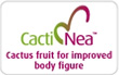 CactiNea