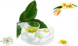 Aceites Esenciales
