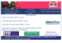 HIGH CHEM SPECIALTIES MEXICO, S.A. DE C.V.