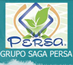 GRUPO QUIMICO SAGA PERSA