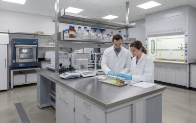 ¿Qué considerar al adquirir un digestor por microondas?