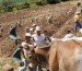 Certificaciones para el sector agropecuario