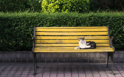 Tendencias en bancas para jardín en 2026: diseño, durabilidad y sostenibilidad