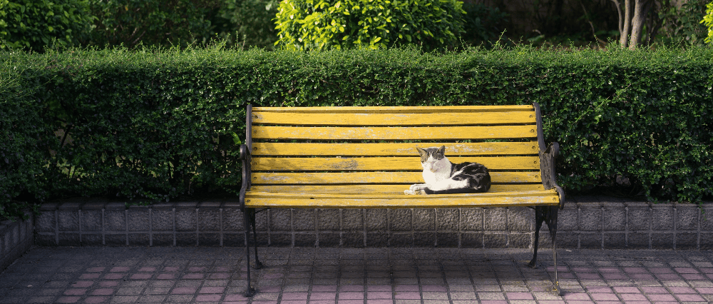 Tendencias en bancas para jardín en 2026: diseño, durabilidad y sostenibilidad