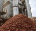 Biomasa como alternativa al petróleo