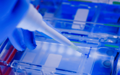 Columnas de cromatografía: soporte técnico y continuidad operativa como factor de decisión