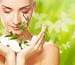 El mercado de los ingredientes naturales y la industria cosmética