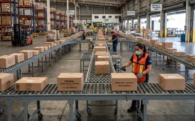 Transportadores de ruedas: criterios de selección para aplicaciones industriales