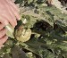 Oxidación de verduras, ¿cómo evitarla?