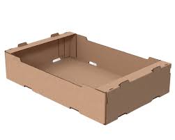 Charolas de Carton