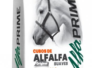 Cubos-de-alfalfa3