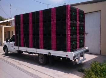 Contenedores en plasticos