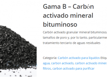 CARBON BITUMINOSO