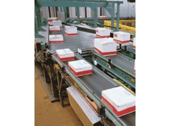 Cintas transportadoras3