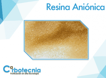 RESINA ANIONICA