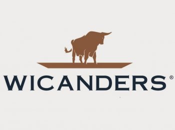 Características de arquitectura corporativa