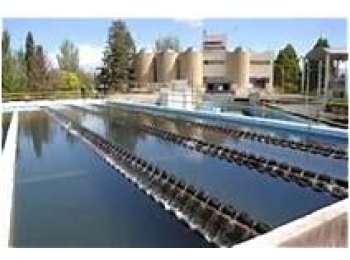  Clorhidrato de aluminio4