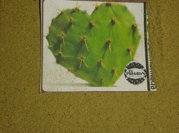 Harina de nopal - El Pueblito