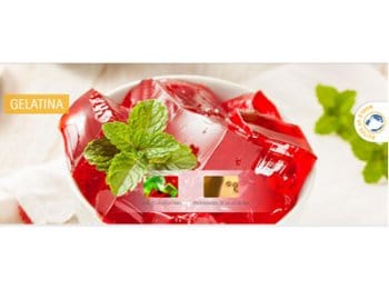 Gelatina comestible - Gelita México
