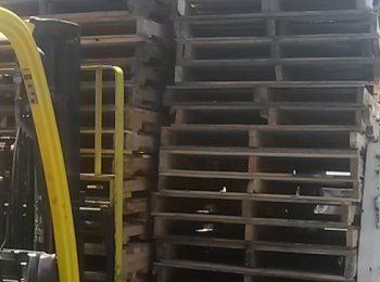 Tarimas recicladas1