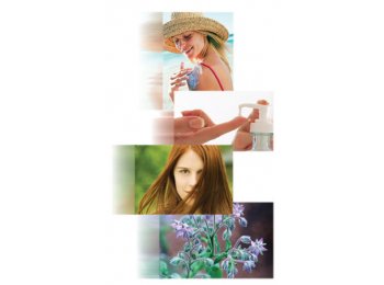 Aceite2