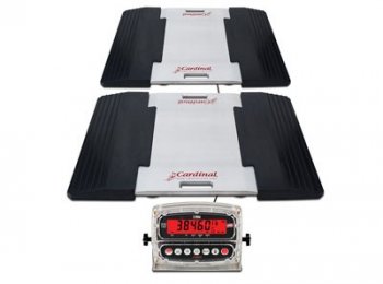 Basculas de ferrocarril - Tec Electrónica