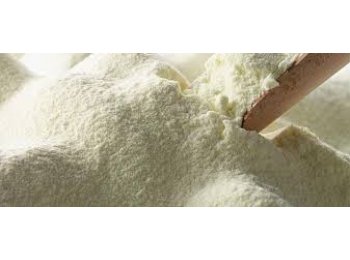 Grasa butirica - Grupo Alimenticio Roech