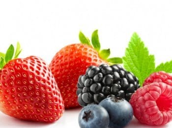  Sabores para la industria alimentaria1