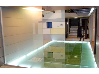 SILICO FLUORURO DE SODIO (Fluosilicato de sodio)