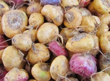 Alimentos nutricionales - Graneles y Derivados Industriales S.A.C. Graderi