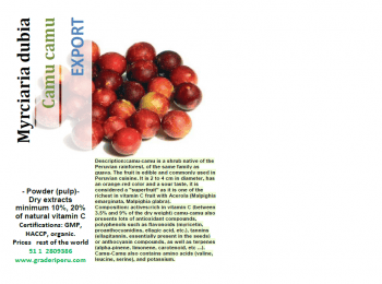 Alimentos naturales - Graneles y Derivados Industriales S.A.C. Graderi