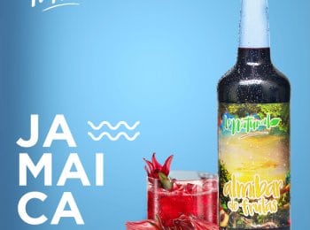 CONCENTRADO DE JAMAICA