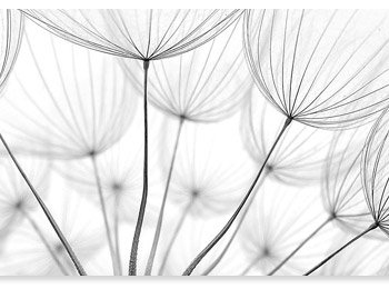fragancias-bases.perfumes1