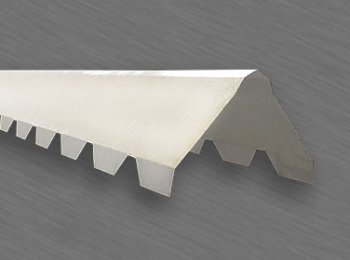 Caballete dentado en Monterrey