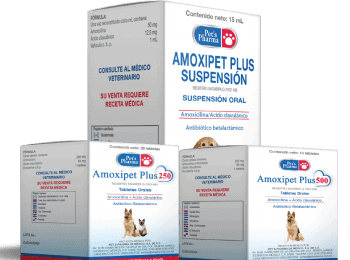 antibioticos-veterinarios2