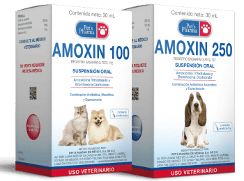 antibioticos-uso-veterinario3