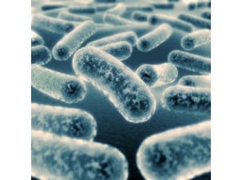 BACTERIAS PARA TRATAMIENTO DE AGUAS RESIDUALES