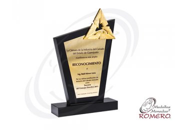 Reconocimientos - Medallas y Monedas Romero