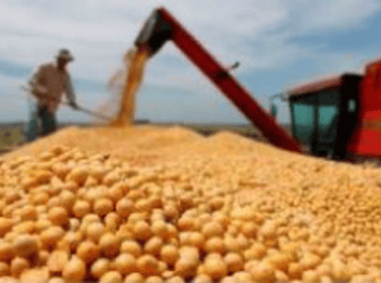 Analisis de espectroscopia de infrarrojo cercano (nirs) - Euro Nutec Premix