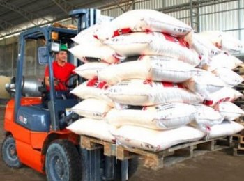 metabisulfito-sodio3