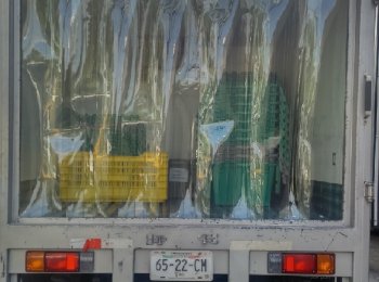 CORTINAS HAWAIIANAS PARA TRANSPORTE
