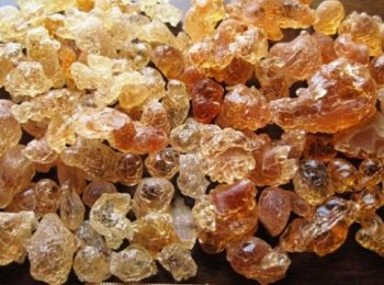 Acacia, goma de (goma arábiga) - ASLO Reactivos