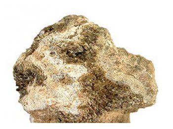 calomel3