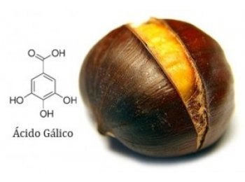 acido-galico