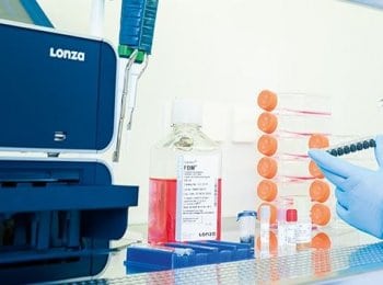 Lubricantes - Arch Química