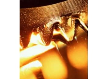 Aceites lubricantes - Holz Chemicals de México