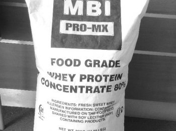 concentrado de suero de leche