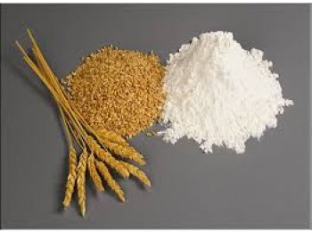 Gluten - Gluten y Almidones Industriales