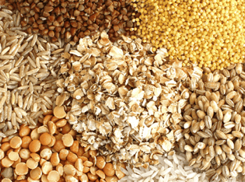 Harinolina - AgMotion México