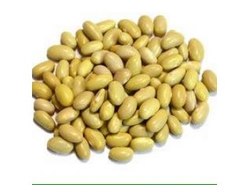FRIJOL PERUANO